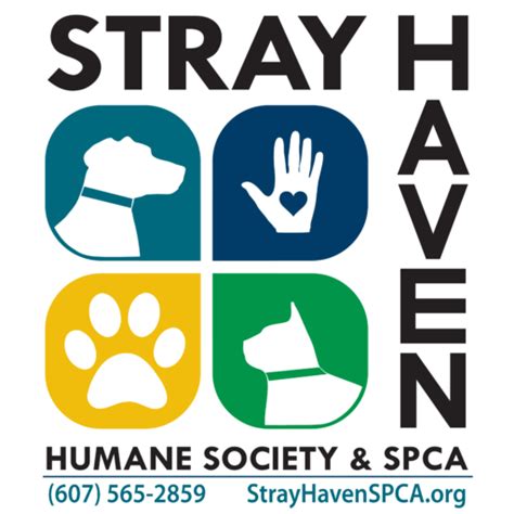 Stray haven - Stray Haven Rescue is a 501(c)(3) non-profit animal rescue organization that was founded in St. Louis, Missouri. Stray Haven is dedicated to promoting the health, well-being, and welfare of all cats, domestic, stray, abandoned, and feral.